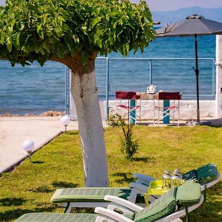 Kiko, The Coastline House Villa Kato Achaia Dış mekan fotoğraf