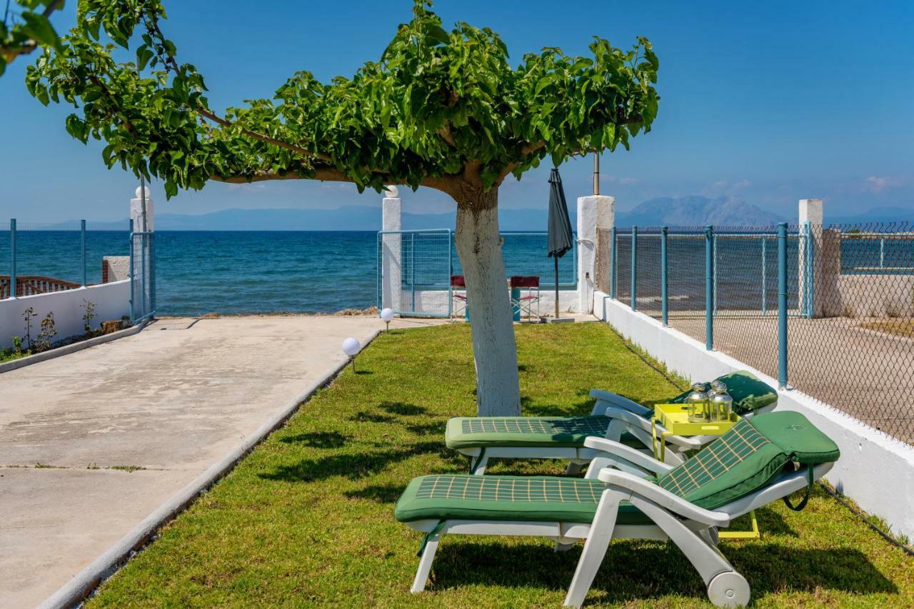 Kiko, The Coastline House Villa Kato Achaia Dış mekan fotoğraf