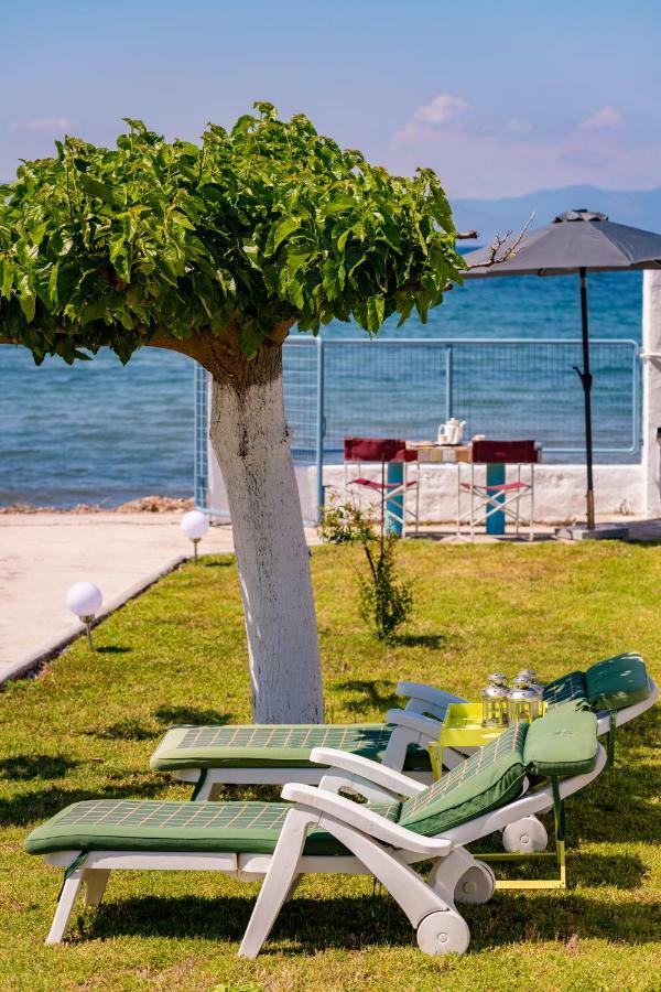 Kiko, The Coastline House Villa Kato Achaia Dış mekan fotoğraf